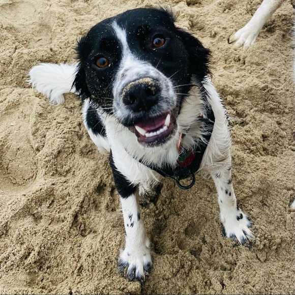 ๐ชถMEET THE POSHER-Thanks for stopping by! Please reach out with any questions! - Picture 14 of 16